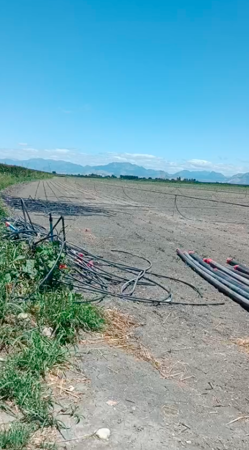 ADANA KOZAN'DA 95.210 M2 SATILIK TARLA